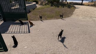 Image by Julius_der_111