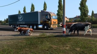 Image by 3bubblesoff