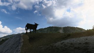 Image by 