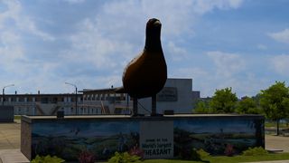 Image by 