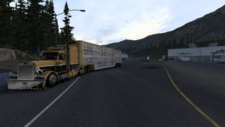 Image by cashar30