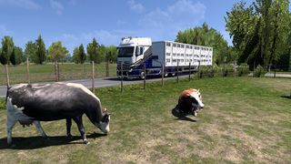 Image by thomasthamrt