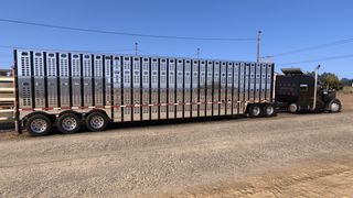 Image by snapon_trucker