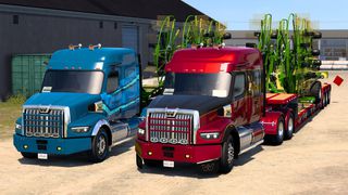 Image by ExaminerIan