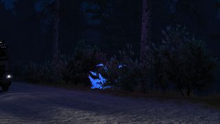 Image by KunzvKaufungen