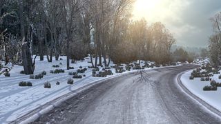 Image by Grzegorz_5703