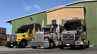 Image by sergey_doronin