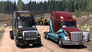 Image by ExaminerIan