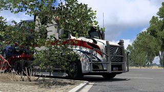 Image by Waldwuffel3