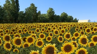 Image by SpaceSphere