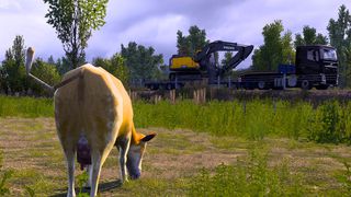 Image by Insomnivore