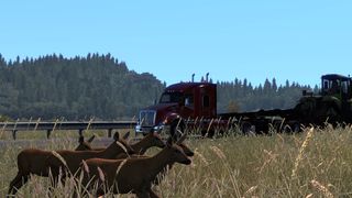 Image by Doc_Roberts