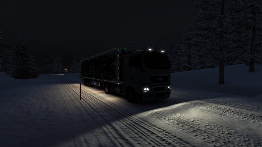 MAN TGX Euro 5