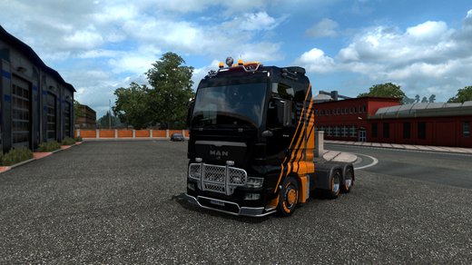 MAN TGX Euro 5