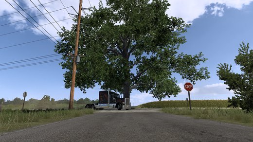 Peterbilt 389