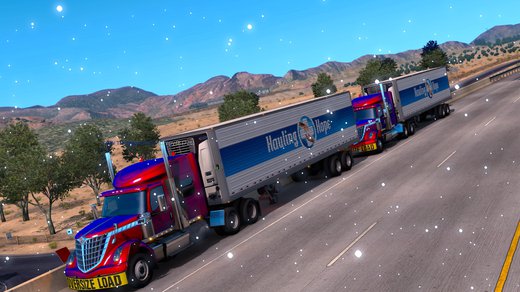 International LoneStar