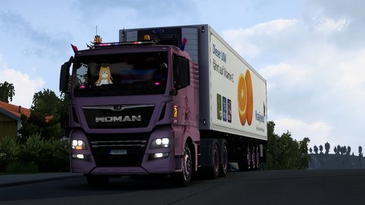 MAN TGX Euro 6