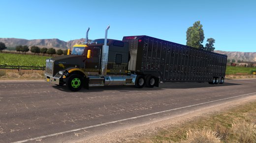 Kenworth T800