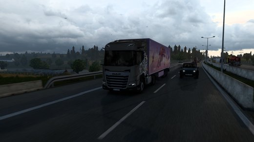 DAF NGD