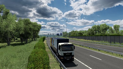 MAN TGX