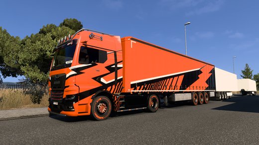 MAN TGX