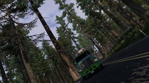 Western Star 49X