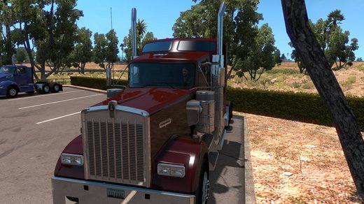 Kenworth W900