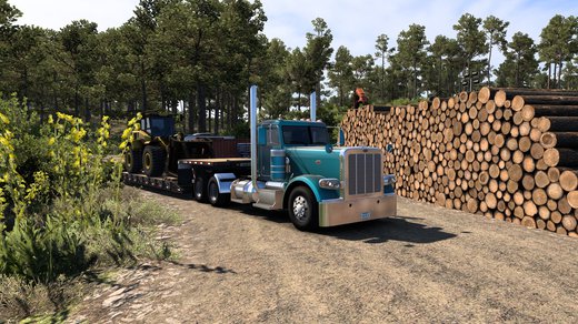 Peterbilt 389