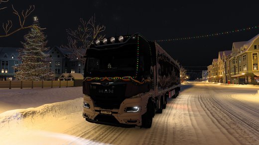 MAN TGX