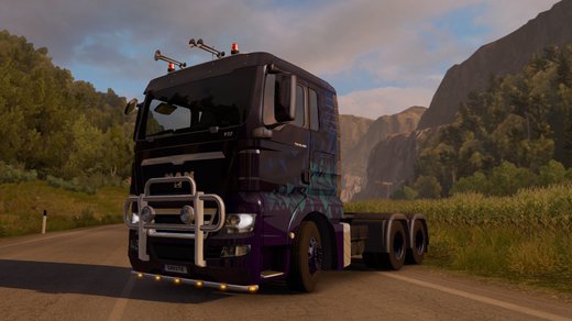 MAN TGX Euro 5