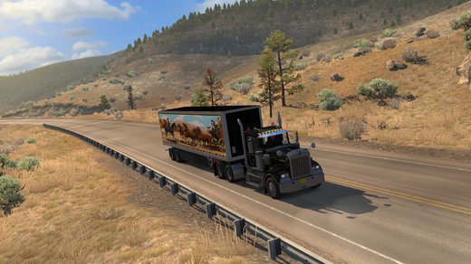 Kenworth W900