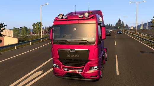 MAN TGX