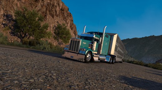 Kenworth W900 Series