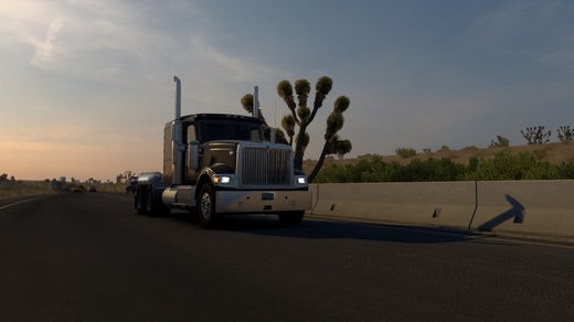 International 9900i