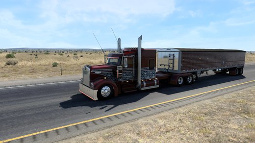 Kenworth W900 CUSTOM