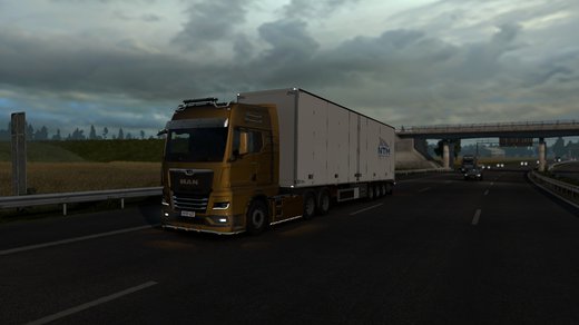 MAN TGX_2020
