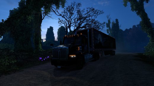 Western Star 49X