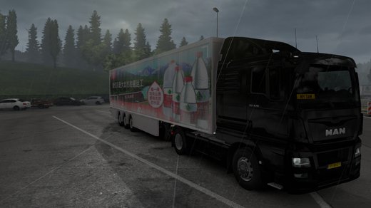 MAN TGX Euro 6