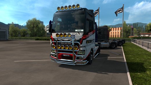 MAN TGX Euro 6