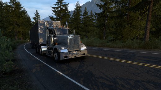 Kenworth W900