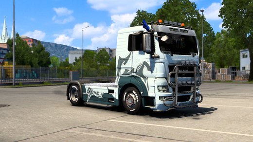 MAN TGX Euro 5