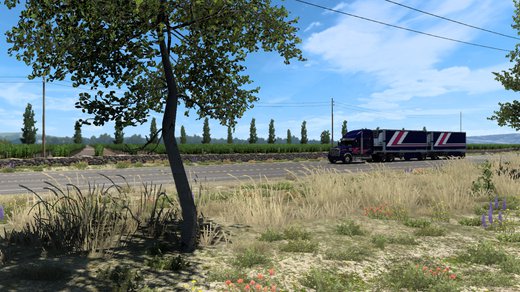 Western Star 49X