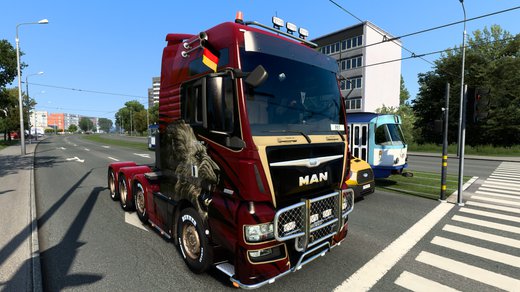 MAN TGX Euro 6