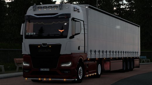 MAN TGX
