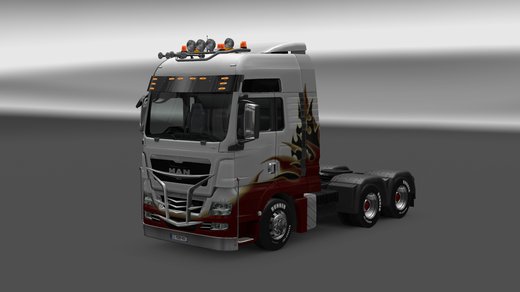MAN TGX Euro 5