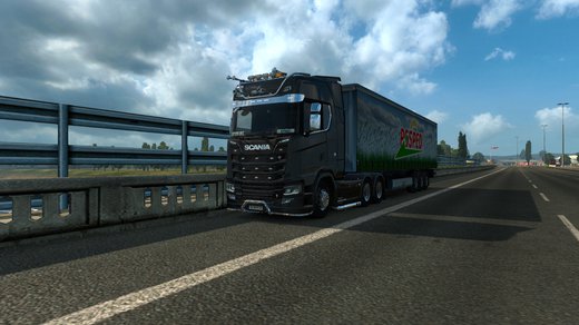 Scania S