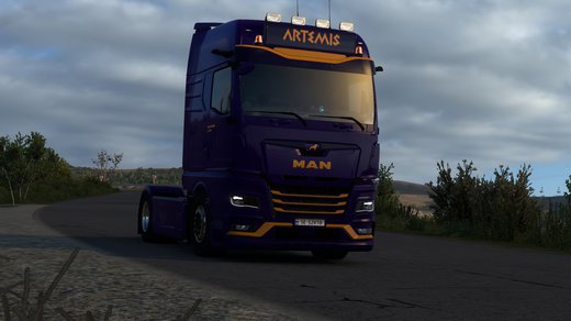MAN TGX
