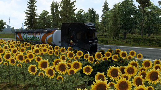 Volvo FH4