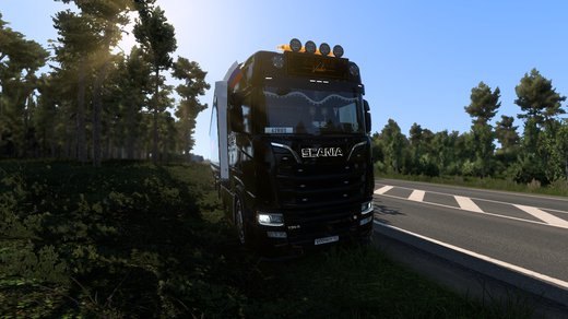 Scania S