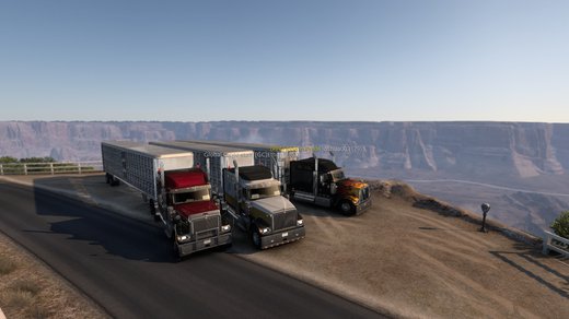 International 9900i